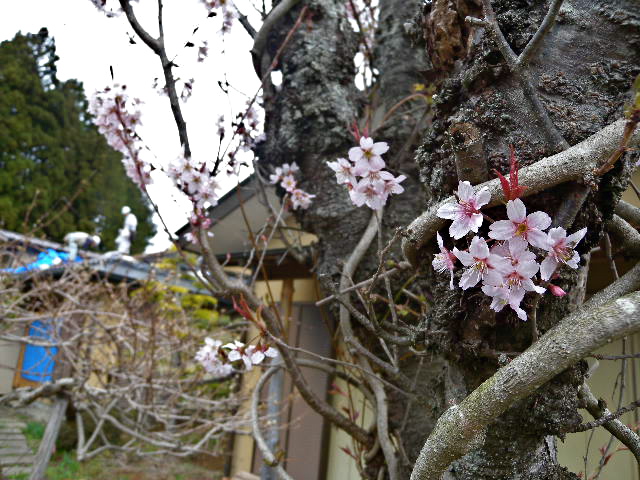 a0199297_11194389.jpg