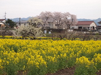 c0187298_1848934.jpg