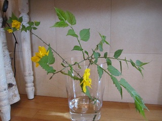 c0152002_1915766.jpg