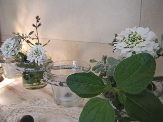 c0152002_1923521.jpg