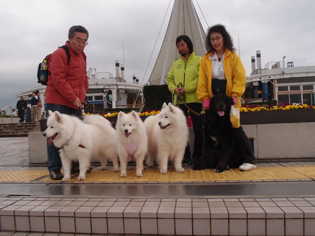 e0018604_21175975.jpg