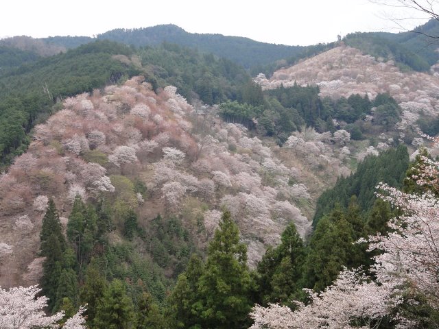 a0144811_8204938.jpg