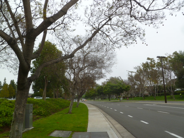 a0144811_821589.jpg