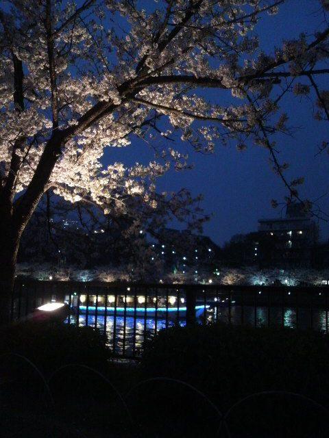 a0144811_8265745.jpg