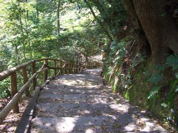 e0033713_1885789.jpg