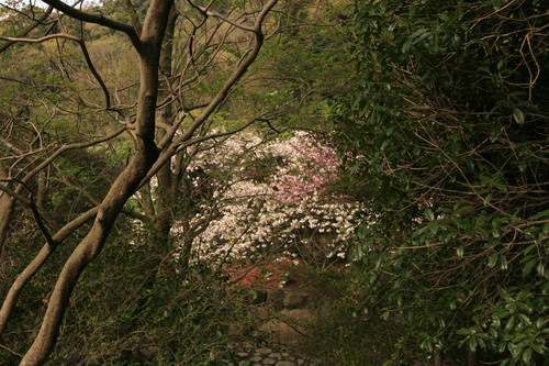 d0229318_2129575.jpg