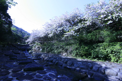 d0229318_21373431.jpg