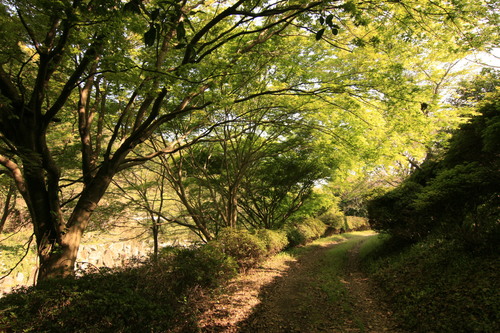 d0229318_21561163.jpg