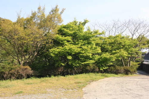 d0229318_21574951.jpg