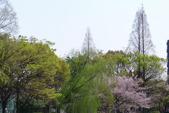 e0184921_7495078.jpg