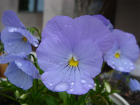 f0054421_7415210.jpg
