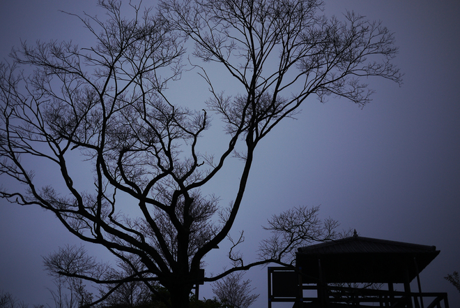 e0200926_7282569.jpg