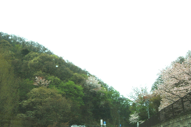 b0097729_12405036.jpg