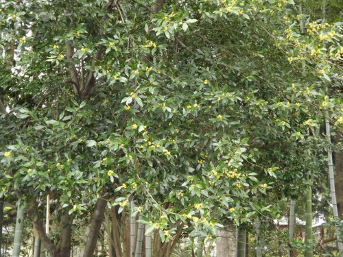 e0033229_21104953.jpg