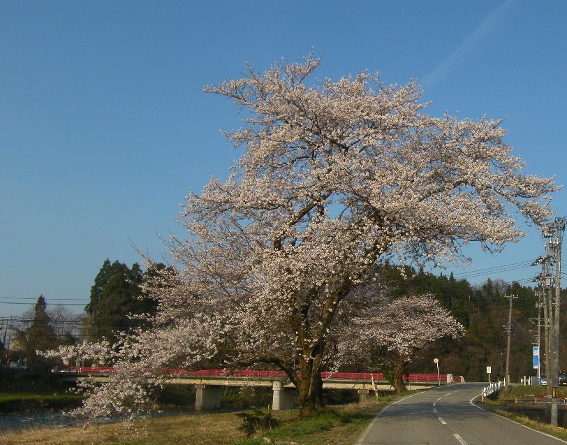 a0119132_1820038.jpg