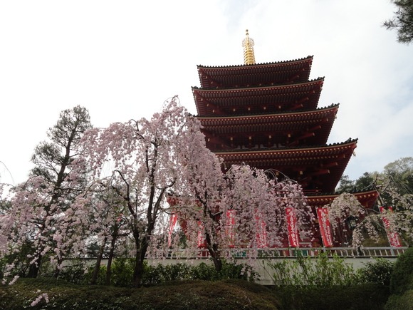 f0238932_1851166.jpg
