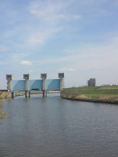 e0085133_149875.jpg