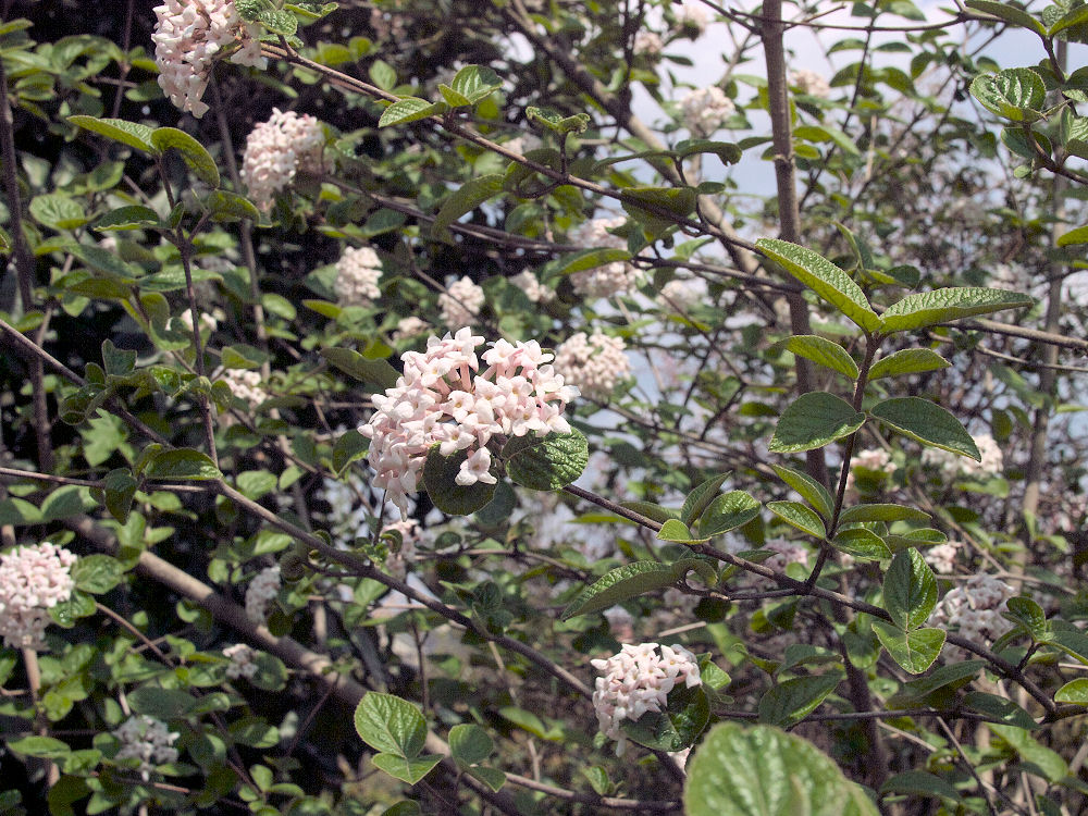 d0213034_9423061.jpg