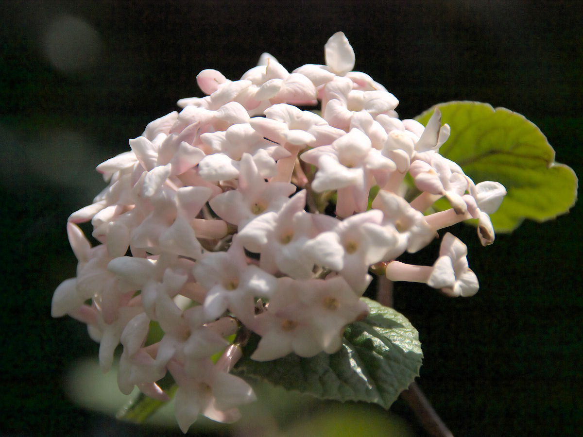 d0213034_9424556.jpg