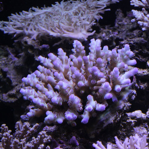 d0221436_22492466.jpg