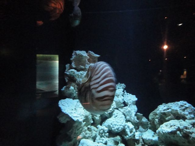 f0208737_7412872.jpg
