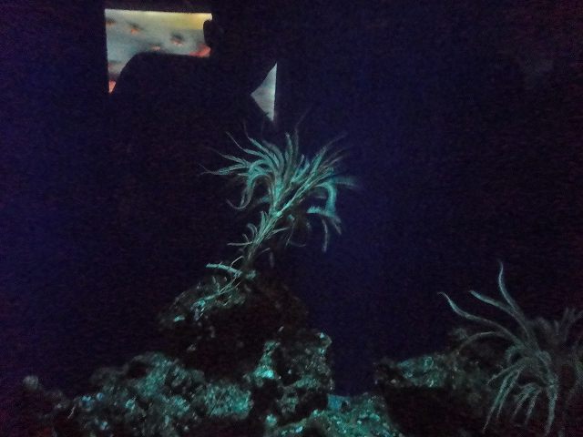 f0208737_7413795.jpg
