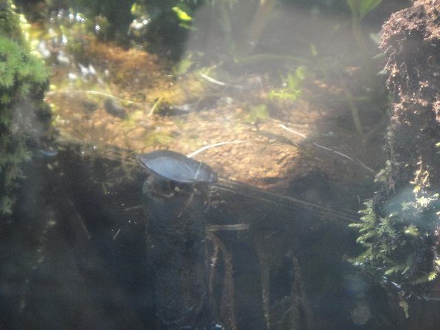 f0208737_7431922.jpg