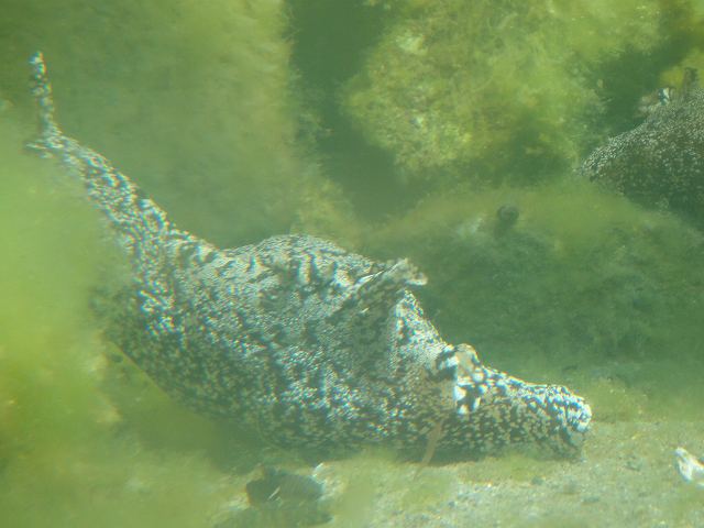f0208737_7441927.jpg