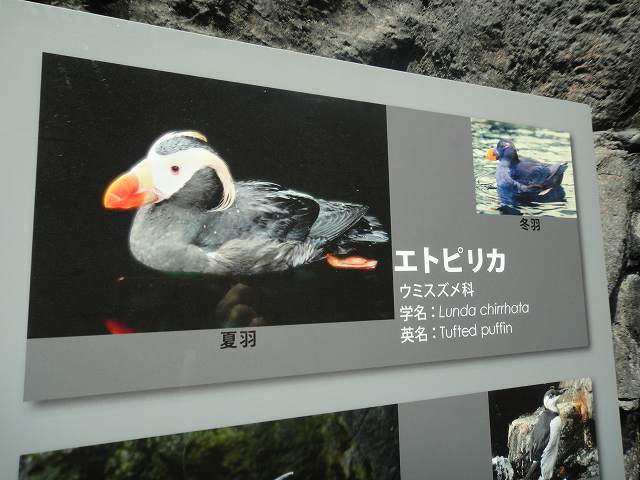 f0208737_7455471.jpg