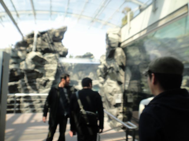 f0208737_745964.jpg