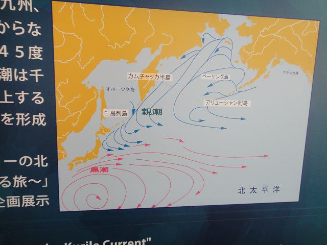f0208737_7461157.jpg