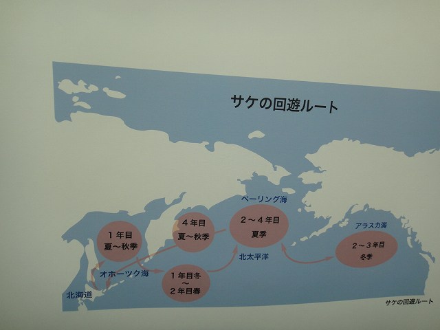f0208737_746378.jpg
