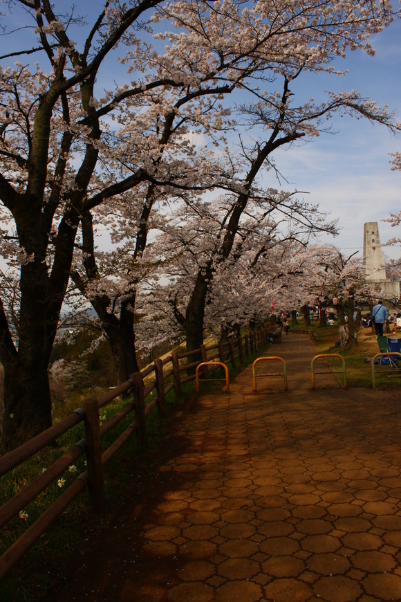 b0223541_2137958.jpg