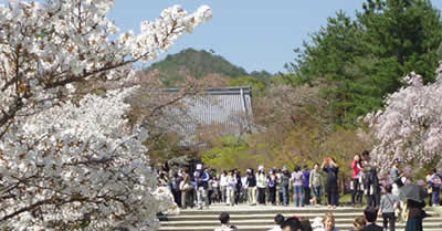 f0190950_16133473.jpg