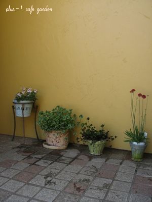 c0079951_23171389.jpg