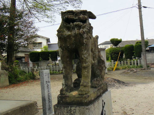 c0179351_1218325.jpg