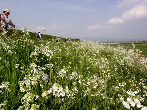 c0179351_13215860.jpg