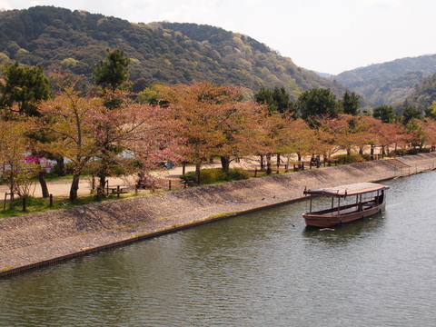 a0212656_895390.jpg