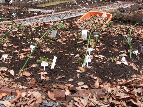 e0088260_1432519.jpg