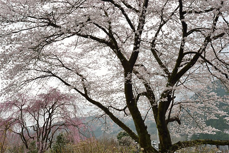 f0222161_23191964.jpg