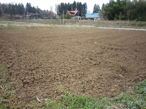 c0073564_1533556.jpg