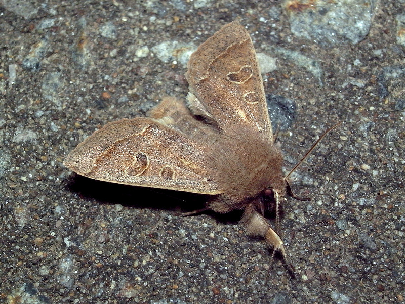 b0130166_21232988.jpg