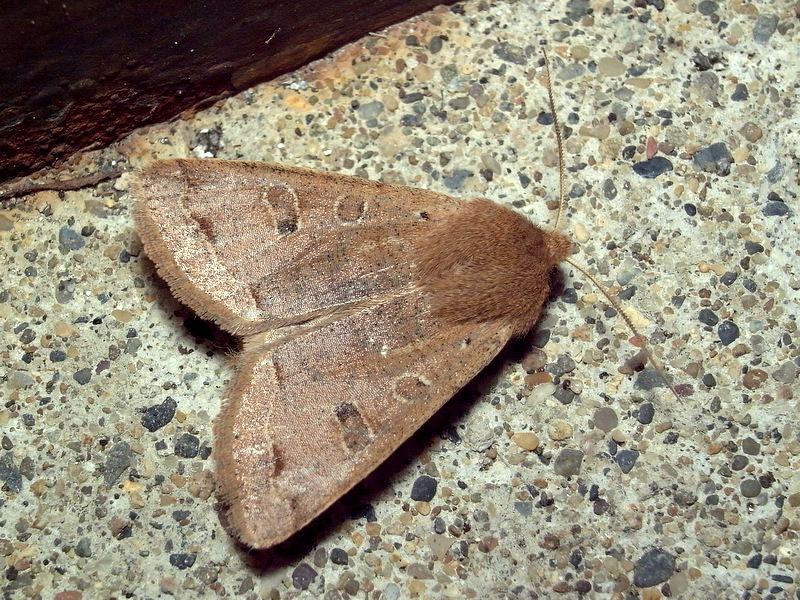 b0130166_2124388.jpg