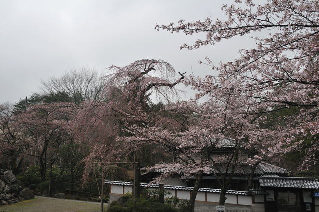 b0223668_8452043.jpg