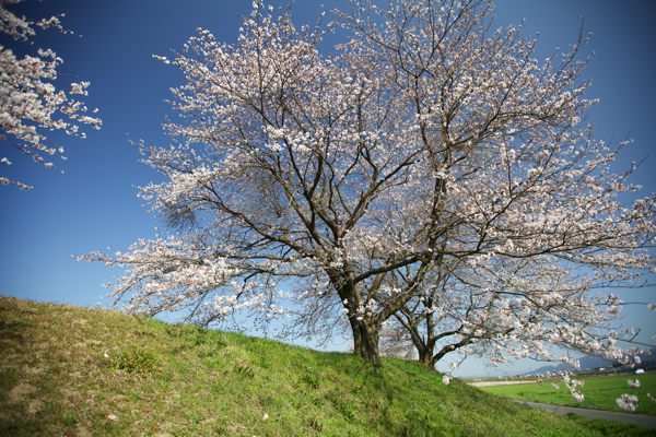 c0163369_0353560.jpg
