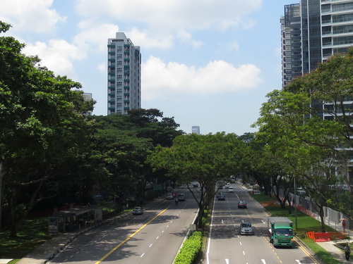 a0002177_1512153.jpg