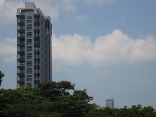 a0002177_1512781.jpg