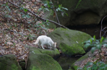 f0054677_844451.jpg