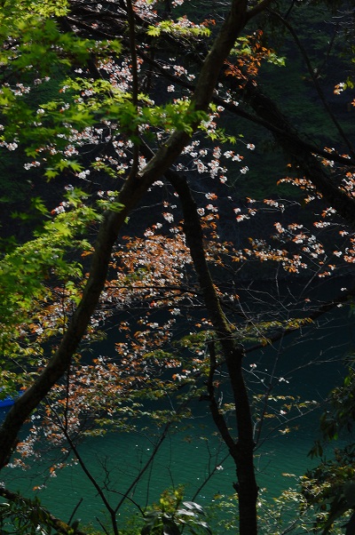 e0252879_10514116.jpg