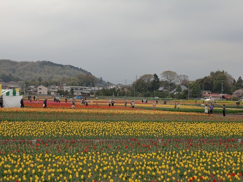 a0229180_114480.jpg